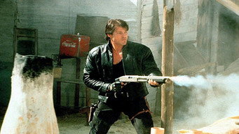 Місячний поліцейський (1995)