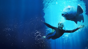 #14 Blueback