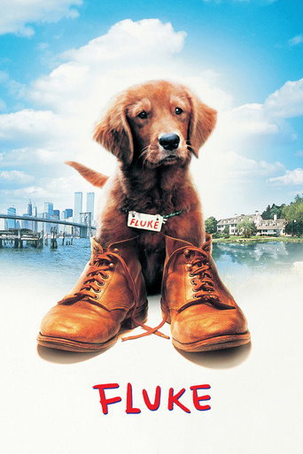 Fluke (1995)
