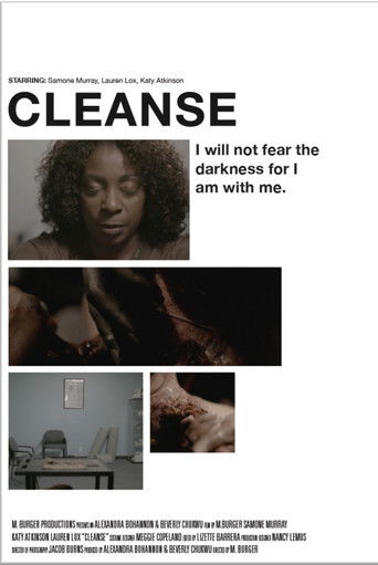 Cleanse poster
