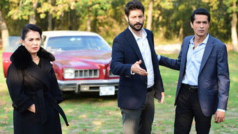 第11話：Episode 11