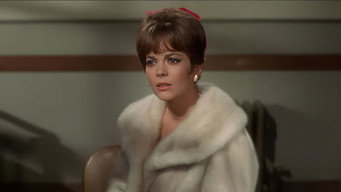 #8 Penelope