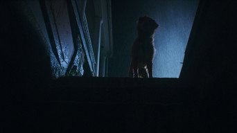Good Boy backdrop 7