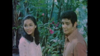 Durugin si Totoy Bato (1979)