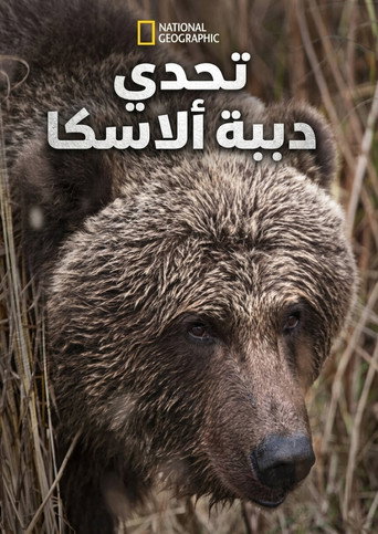 تحدي دببة ألآسكا