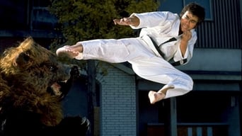 #1 Karate Bear Fighter
