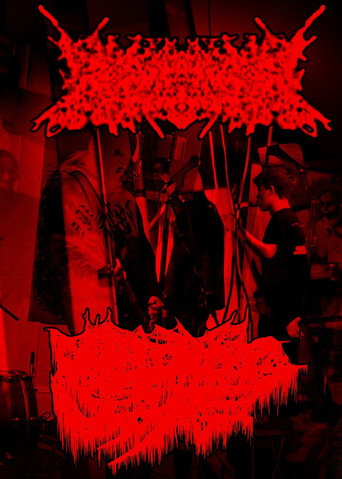 Rhabdomyolysis/Amebiasis Live at The Veil (2023)