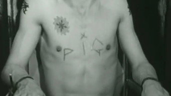 Escena 5 de Pig