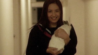 #34 Noriko's Dinner Table