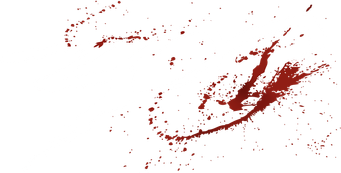 صورة من 300