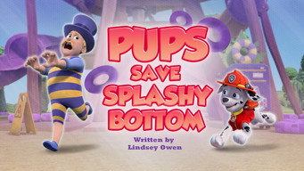 第5話:Pups Save a Splashy Bottom 第5話:Pups Save a Splashy Bottom