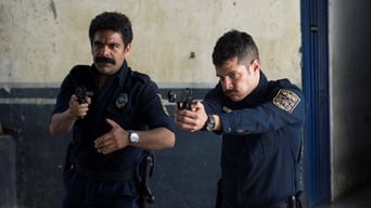 Galeria 1 - Placa de acero