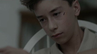 Bug Killer (2014)