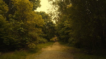 #14 Sleepwalker