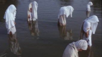 Марікен ван Ньюмейхен (1974)