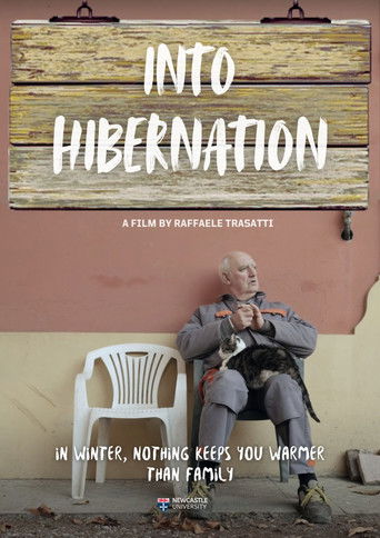 Into Hibernation poster 2