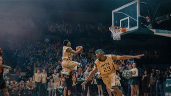 Galeria 5 - Estrellas Fugaces