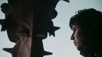 #5 Salomé