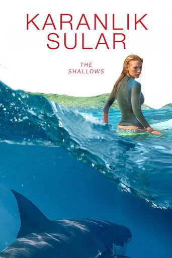 Poster 3