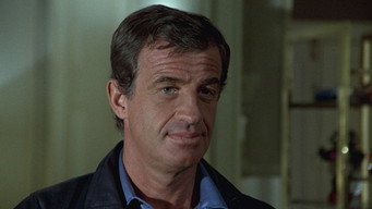 Професіонал (1981)