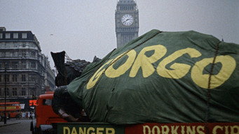 #10 Gorgo