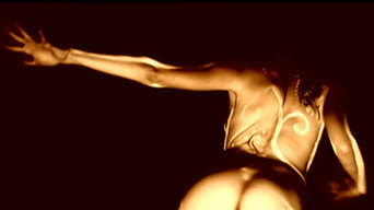Wishmaster media image