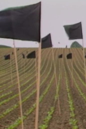 Und die Galaxien hörten