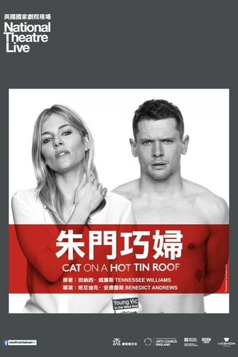 热铁皮屋顶上的猫