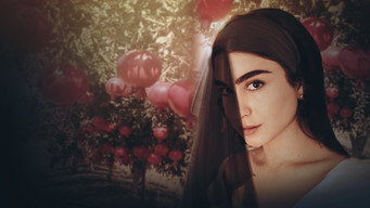Pomegranate (2025)
