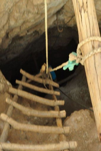 Pirquineros de Petorca poster