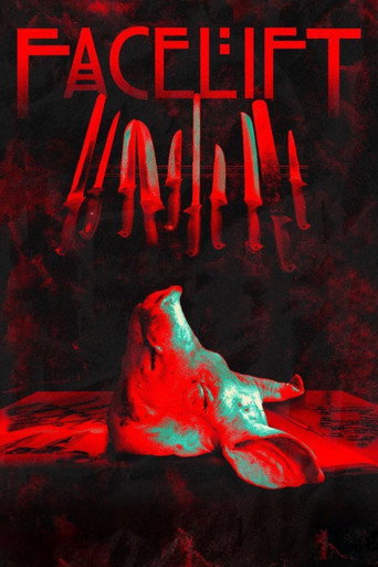 American Horror Stories: Facelift