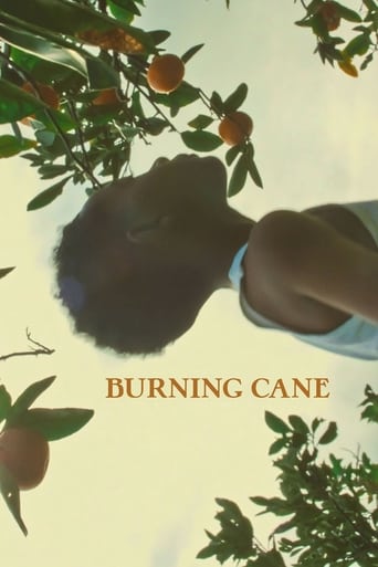 Poster of Burning Cane