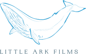 Little Ark Films