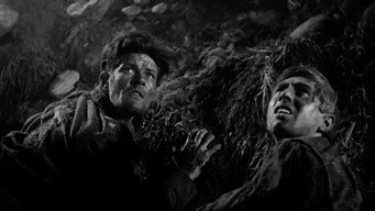 The Last Chance (1945)