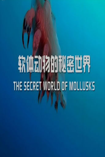 软体动物的秘密世界 poster