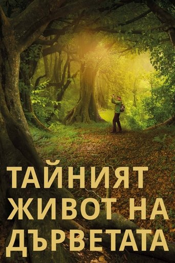 Тайният живот на дърветата