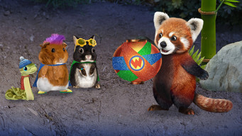 Wonder Pets en la ciudad
