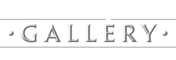Disney Gallery / Star Wars: The Book of Boba Fett logo