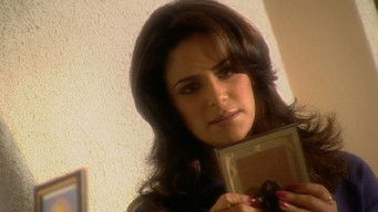 Episode 318 — Raj is Mistaken