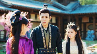 Episode 8 — Episode 8