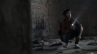 Щоденник очей (2014)