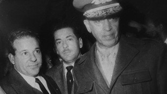 1961 (2025)