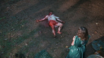 #24 A Wounded Fawn