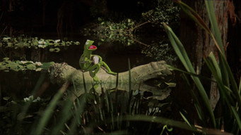 The Muppet Movie backdrop 1