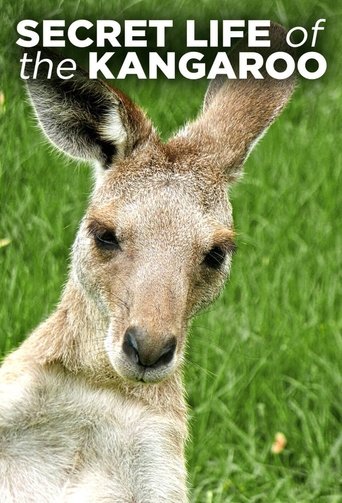 Secret Life of the Kangaroo: Season 1