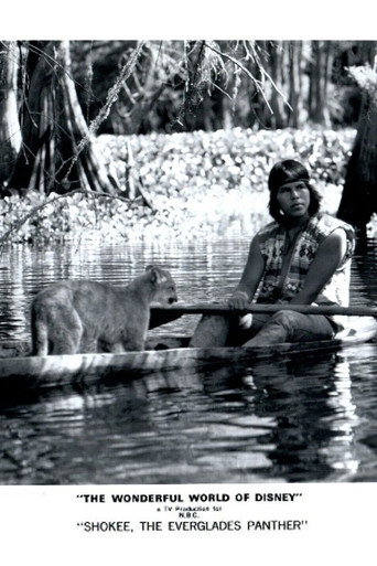 Shokee, the Everglades Panther (1974)