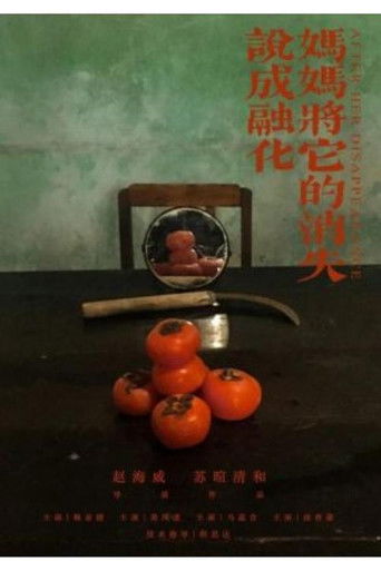 After Her Disappearance poster