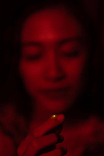 Return of the Fireflies (2025)