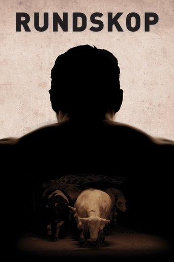 Rundskop (2011)