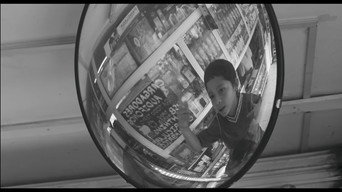 Flies (2026)